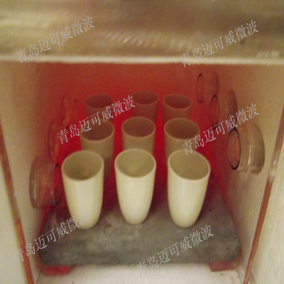 微波快速灰化技術(shù)