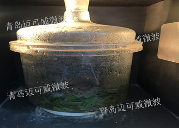 微波萃取制樣技術